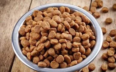 Los secretos de la correcta nutrición canina