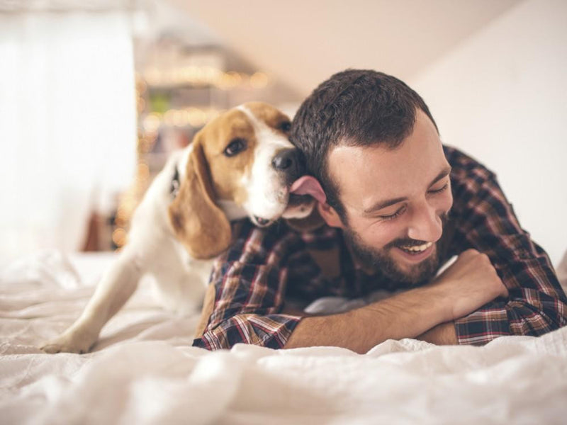 12 maneras por las que las mascotas mejoran la salud