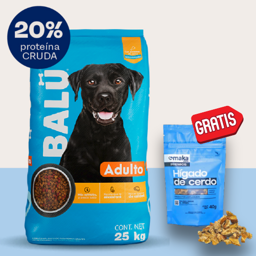 Balú Adulto