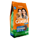 Grateful Cachorro