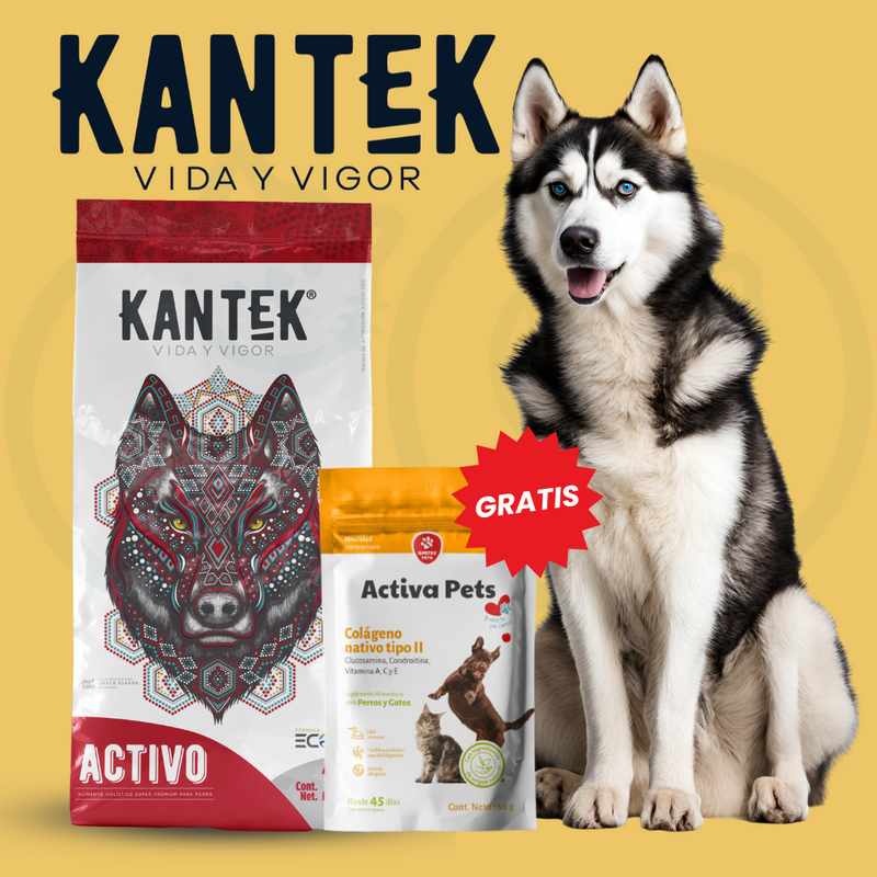 Kantek Activo 20 kg + Activa Pets Gratis