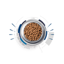 Alpha Nutrition Premium para Perros Adultos