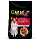 Ganador Premium Adulto Raza Mediana/Grande
