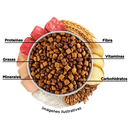 Ganador Premium Adulto Raza Pequeña