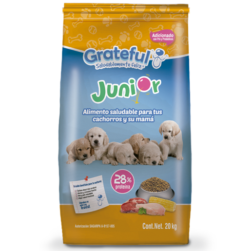 Grateful Junior Cachorros
