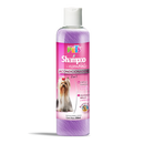 Shampoo Essentials Acondicionador